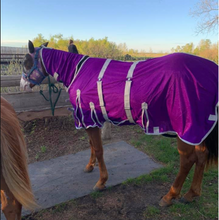 !! NEW ARRIVAL 2025 !! Horse Fly Sheet With Neck and Belly ( Superior Heavyduty Mesh )