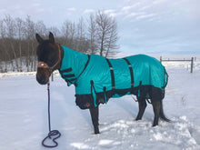 !! NEW ARRIVAL 2025 !! Horse Fly Sheet With Neck and Belly ( Superior Heavyduty Mesh )