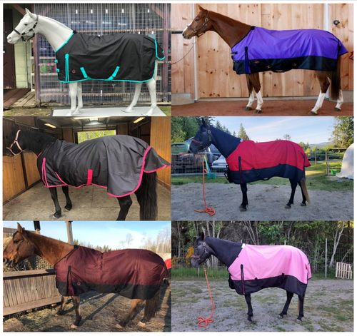 ! Horse Rainsheet 1200 DENIER | Horse Turnout Sheet | BLACK-FRIDAY-SPECIAL