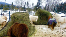 JUMBO 6x6 "KNOTLESS" ROUND BALE Slow Feed HAY NET( 4-5mm THICKNESS ) + FREE TRAILER NET