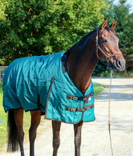 ! Horse Rainsheet 1200 DENIER | Horse Turnout Sheet | BLACK-FRIDAY-SPECIAL